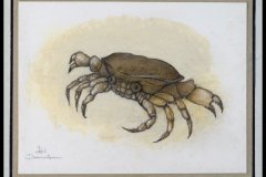 77